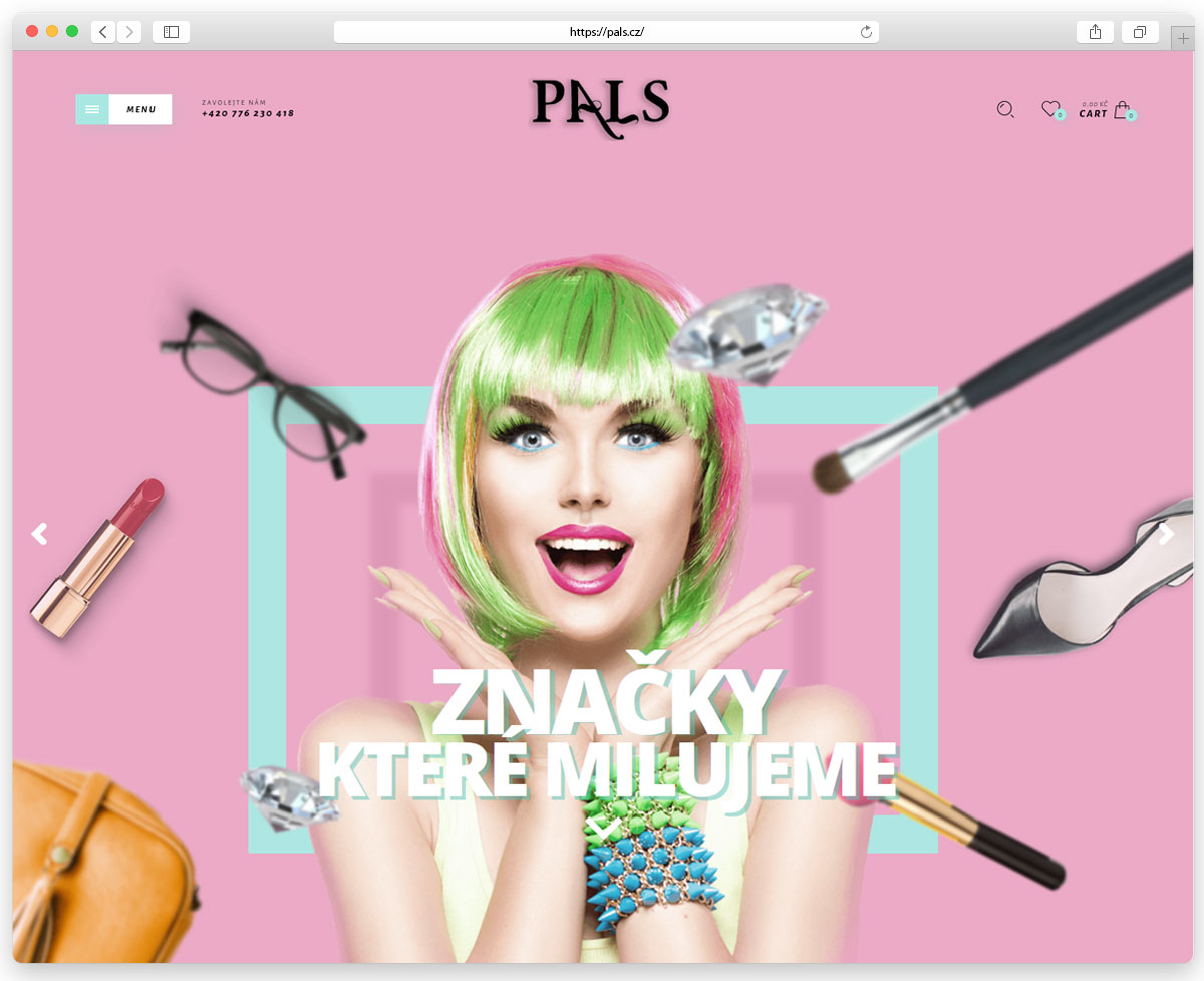 Updating the website of the online store Pals.cz.